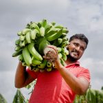 innoTrace-indianFarmer