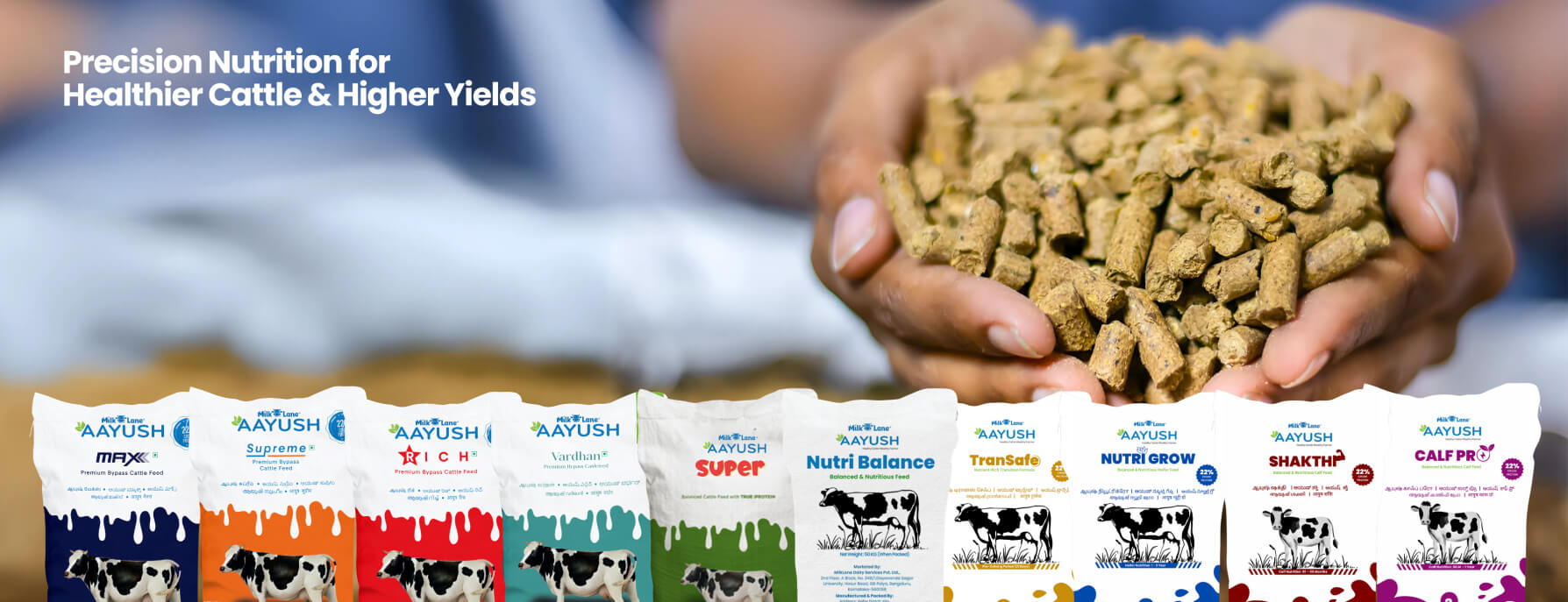 IMG-Cattle slider 3