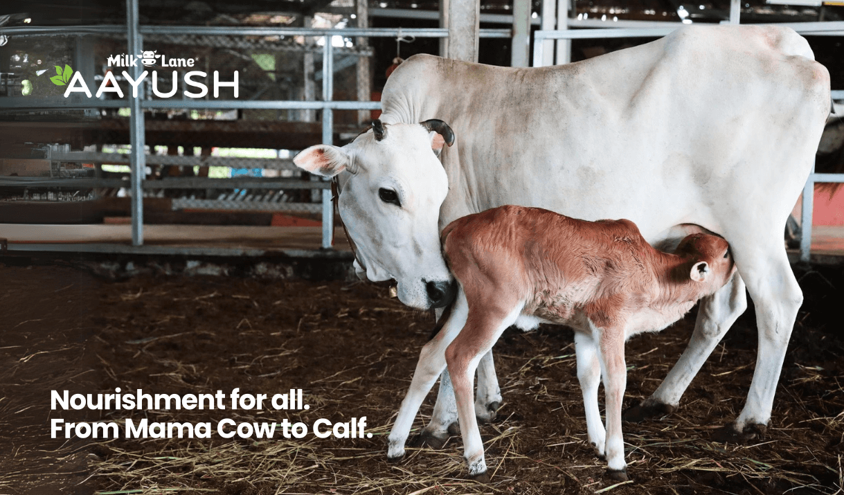 M Banner (1) Aayush_Serving Dairy Farmers with Excellence